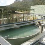 Henty Process Plant – Thickening Tank